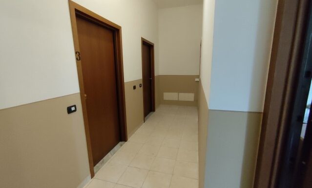 1728890814276 (Small)