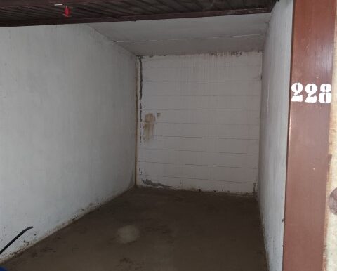 1737113010969 (Small)