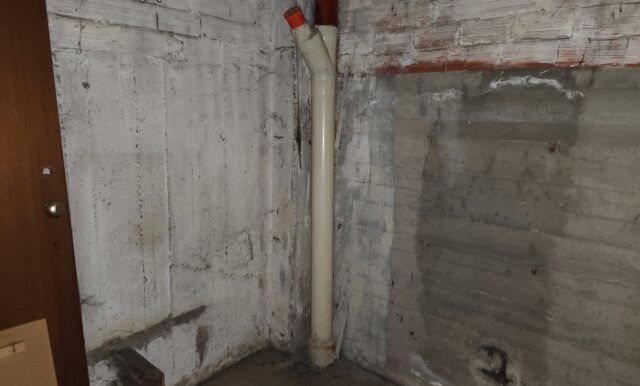 1737113010983 (Small)