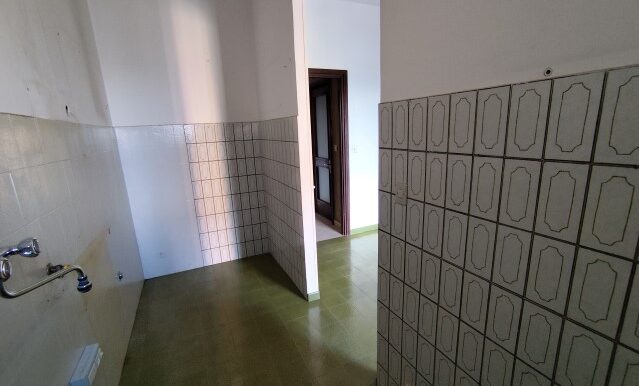1738105818781 (Small)