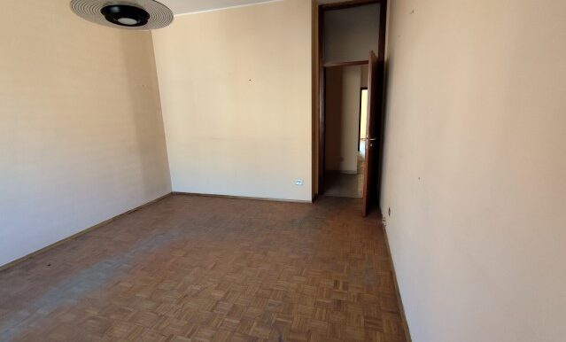 1738158539379 - Copia (Small)
