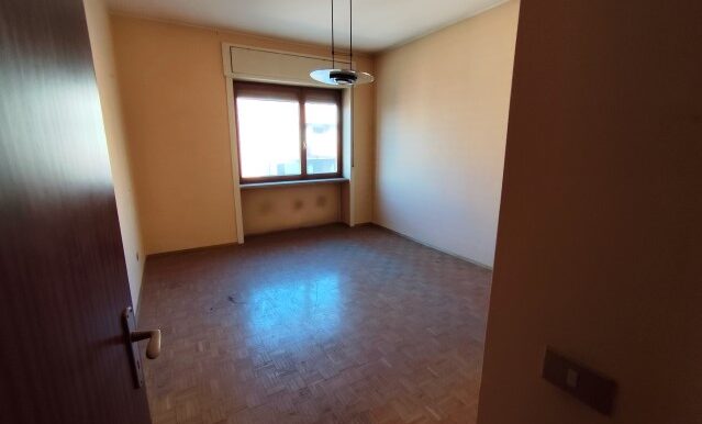 1738158539387 - Copia (Small)