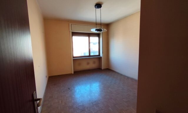 1738158539396 - Copia (Small)
