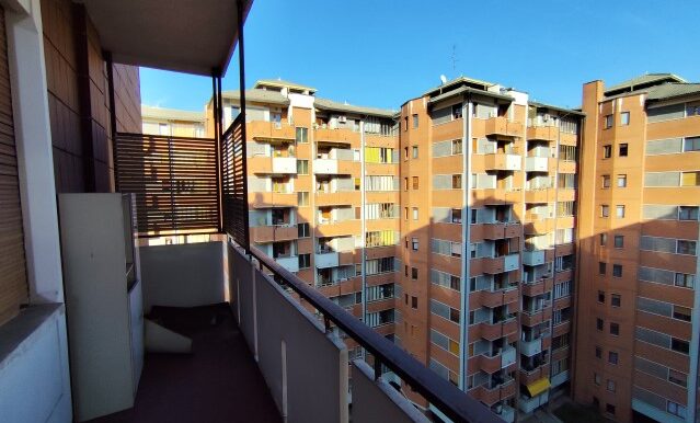 1738158539432 - Copia (Small)