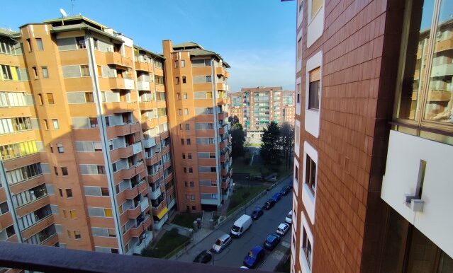 1738158539439 - Copia (Small)