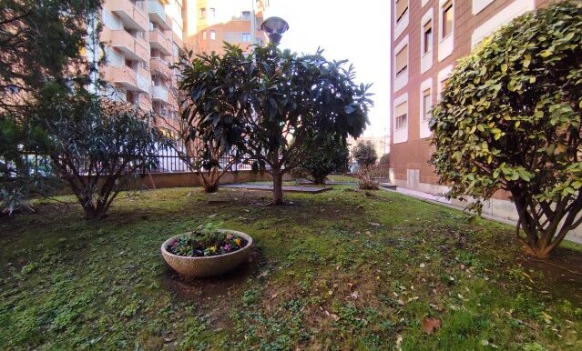 1738158539488 - Copia (Small)