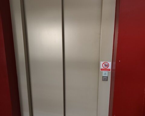 1740571066131 (Small)