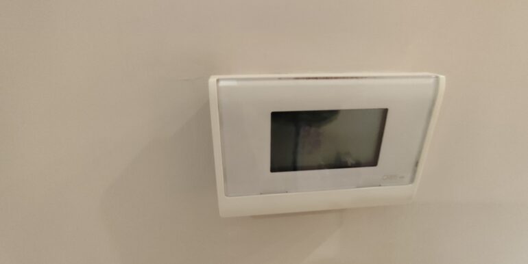 1744377040342 (Large)