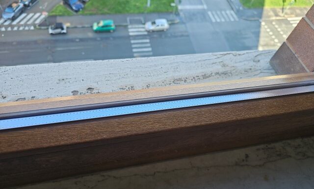 20240304_092258 (Small)