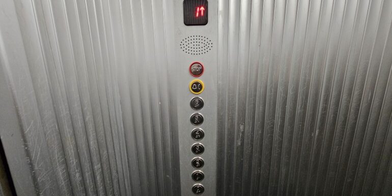 20250121_124327 (Small)
