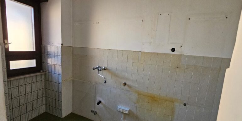 20250121_124747 (Small) (2)
