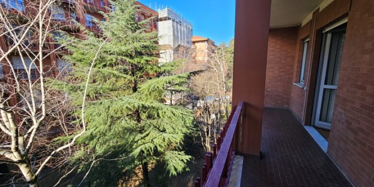 20250121_125142 (Small)