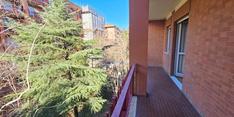 20250121_125145 (Small)