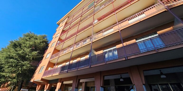 20250121_130426 (Small)