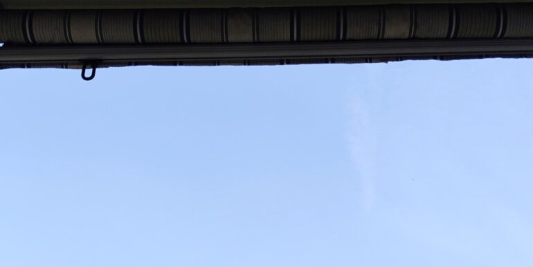 IMG_20261002_102444 (Medium)